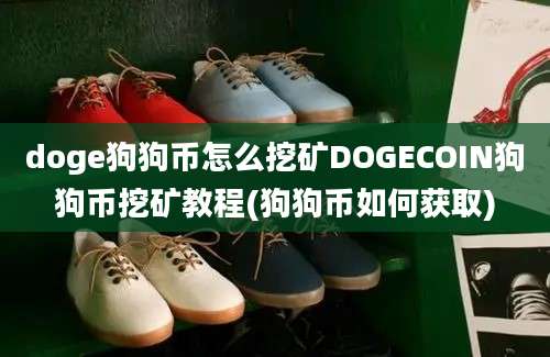 doge狗狗币怎么挖矿DOGECOIN狗狗币挖矿教程(狗狗币如何获取)