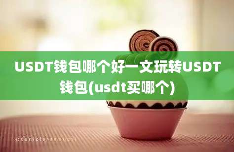 USDT钱包哪个好一文玩转USDT钱包(usdt买哪个)