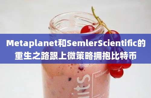 Metaplanet和SemlerScientific的重生之路跟上微策略拥抱比特币