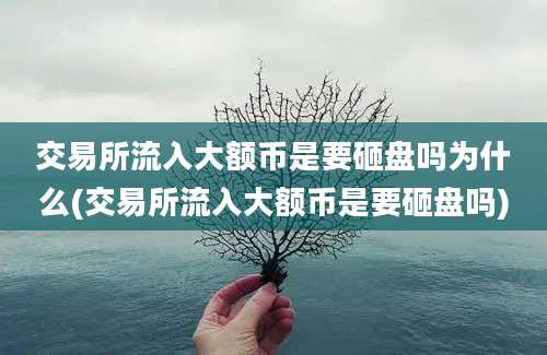 交易所流入大额币是要砸盘吗为什么(交易所流入大额币是要砸盘吗)