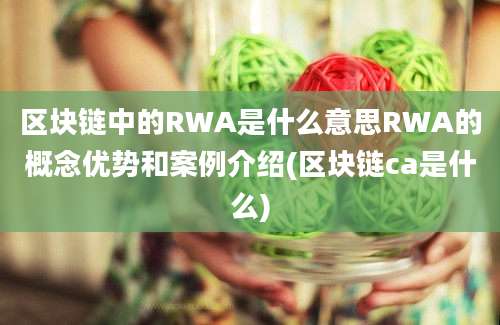 区块链中的RWA是什么意思RWA的概念优势和案例介绍(区块链ca是什么)