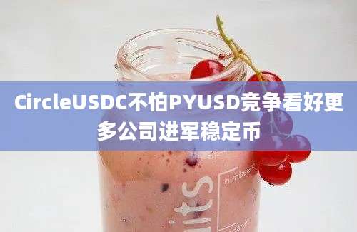 CircleUSDC不怕PYUSD竞争看好更多公司进军稳定币