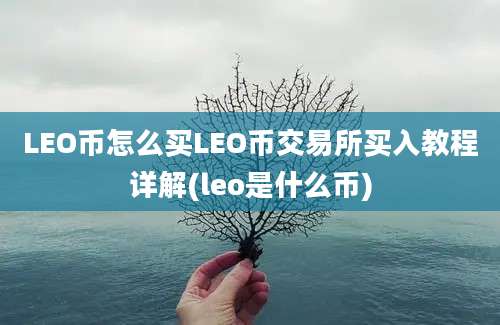 LEO币怎么买LEO币交易所买入教程详解(leo是什么币)