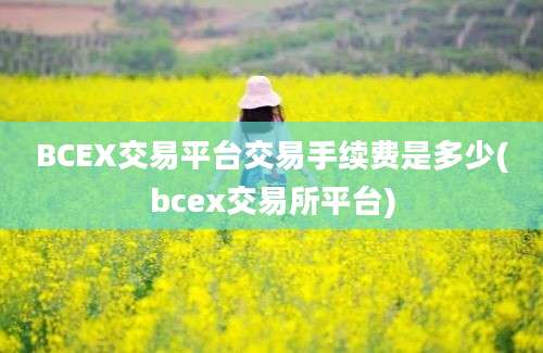 BCEX交易平台交易手续费是多少(bcex交易所平台)