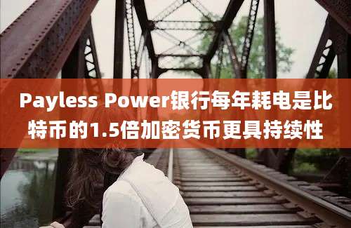 Payless Power银行每年耗电是比特币的1.5倍加密货币更具持续性