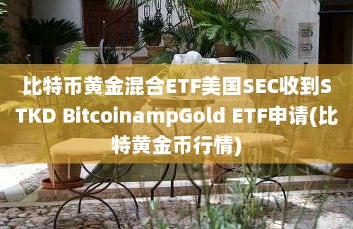 比特币黄金混合ETF美国SEC收到STKD BitcoinampGold ETF申请(比特黄金币行情)