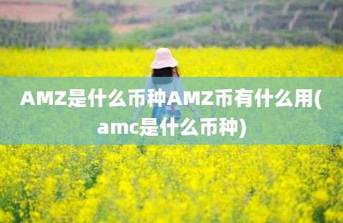 AMZ是什么币种AMZ币有什么用(amc是什么币种)