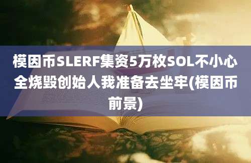 模因币SLERF集资5万枚SOL不小心全烧毁创始人我准备去坐牢(模因币前景)