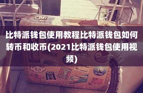 比特派钱包使用教程比特派钱包如何转币和收币(2021比特派钱包使用视频)