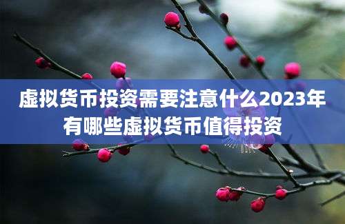 虚拟货币投资需要注意什么2023年有哪些虚拟货币值得投资