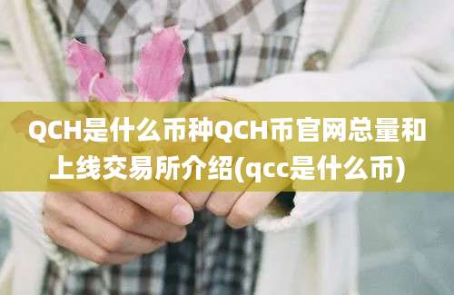 QCH是什么币种QCH币官网总量和上线交易所介绍(qcc是什么币)