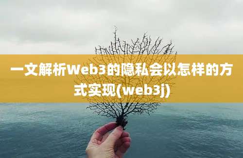 一文解析Web3的隐私会以怎样的方式实现(web3j)