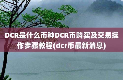 DCR是什么币种DCR币购买及交易操作步骤教程(dcr币最新消息)