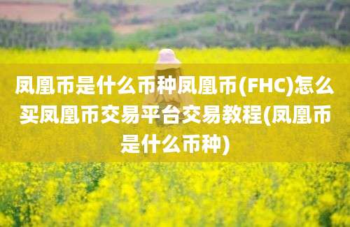 凤凰币是什么币种凤凰币(FHC)怎么买凤凰币交易平台交易教程(凤凰币是什么币种)