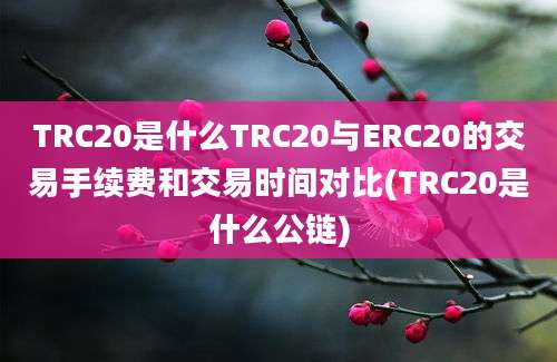 TRC20是什么TRC20与ERC20的交易手续费和交易时间对比(TRC20是什么公链)