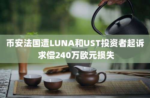 币安法国遭LUNA和UST投资者起诉 求偿240万欧元损失