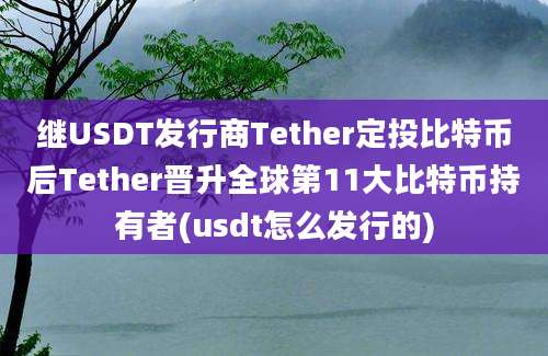 继USDT发行商Tether定投比特币后Tether晋升全球第11大比特币持有者(usdt怎么发行的)