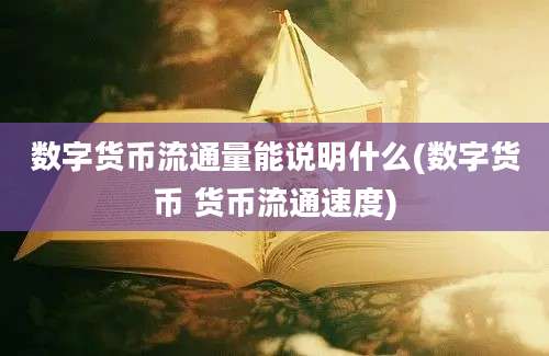 数字货币流通量能说明什么(数字货币 货币流通速度)