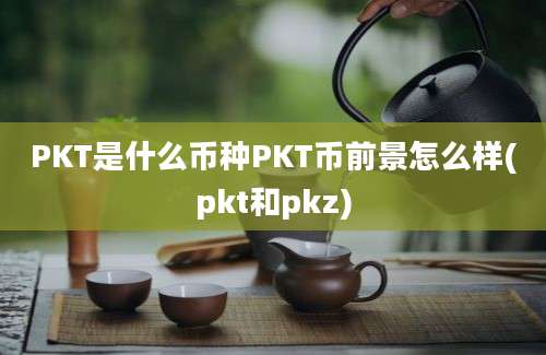 PKT是什么币种PKT币前景怎么样(pkt和pkz)