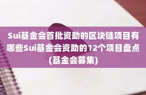 Sui基金会首批资助的区块链项目有哪些Sui基金会资助的12个项目盘点(基金会募集)