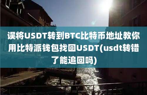 误将USDT转到BTC比特币地址教你用比特派钱包找回USDT(usdt转错了能追回吗)