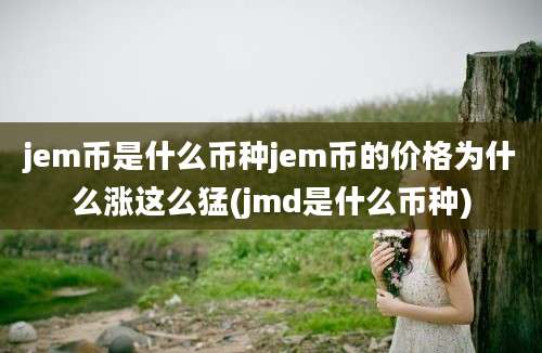 jem币是什么币种jem币的价格为什么涨这么猛(jmd是什么币种)