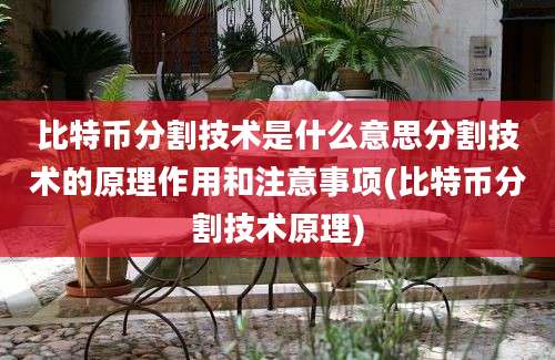 比特币分割技术是什么意思分割技术的原理作用和注意事项(比特币分割技术原理)