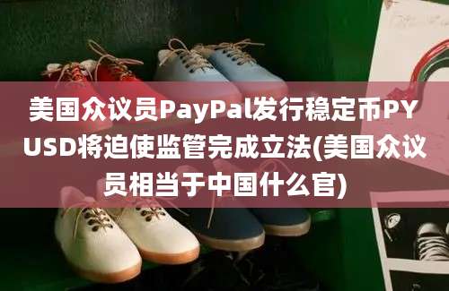 美国众议员PayPal发行稳定币PYUSD将迫使监管完成立法(美国众议员相当于中国什么官)