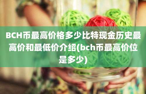 BCH币最高价格多少比特现金历史最高价和最低价介绍(bch币最高价位是多少)