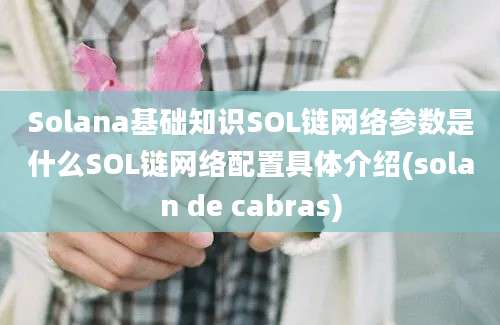 Solana基础知识SOL链网络参数是什么SOL链网络配置具体介绍(solan de cabras)