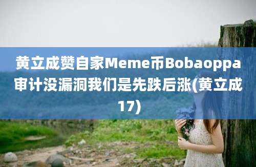 黄立成赞自家Meme币Bobaoppa审计没漏洞我们是先跌后涨(黄立成17)