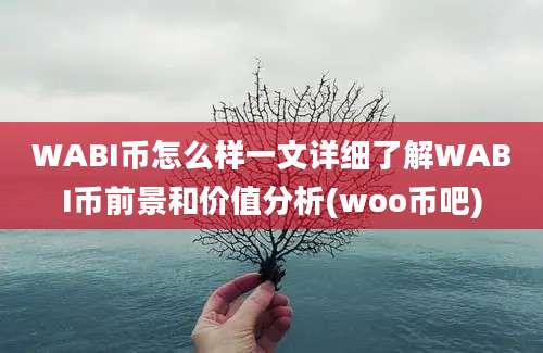 WABI币怎么样一文详细了解WABI币前景和价值分析(woo币吧)