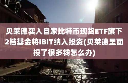 贝莱德买入自家比特币现货ETF旗下2档基金将IBIT纳入投资(贝莱德里面投了很多钱怎么办)