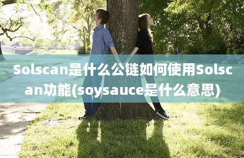 Solscan是什么公链如何使用Solscan功能(soysauce是什么意思)