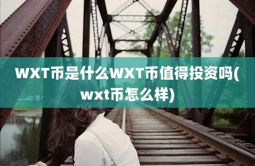 WXT币是什么WXT币值得投资吗(wxt币怎么样)