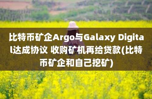 比特币矿企Argo与Galaxy Digital达成协议 收购矿机再给贷款(比特币矿企和自己挖矿)