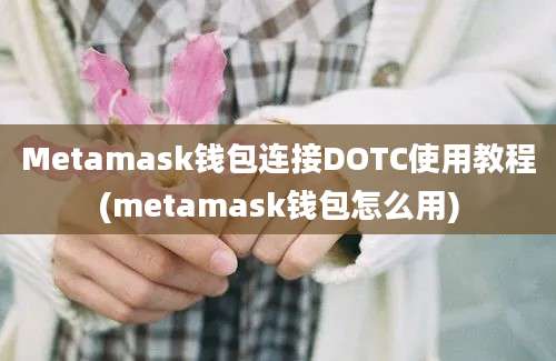 Metamask钱包连接DOTC使用教程(metamask钱包怎么用)