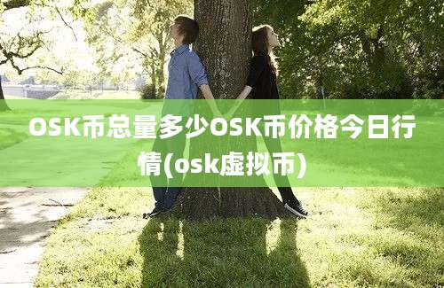 OSK币总量多少OSK币价格今日行情(osk虚拟币)