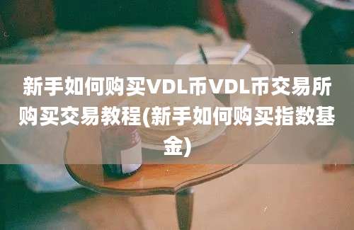 新手如何购买VDL币VDL币交易所购买交易教程(新手如何购买指数基金)