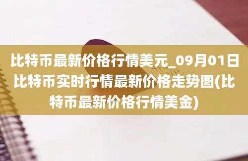 比特币最新价格行情美元_09月01日比特币实时行情最新价格走势图(比特币最新价格行情美金)