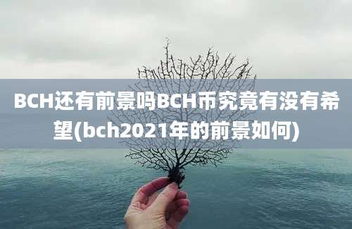 BCH还有前景吗BCH币究竟有没有希望(bch2021年的前景如何)