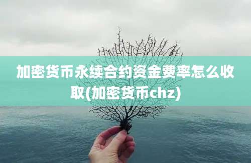 加密货币永续合约资金费率怎么收取(加密货币chz)