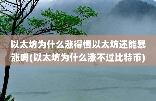 以太坊为什么涨得慢以太坊还能暴涨吗(以太坊为什么涨不过比特币)