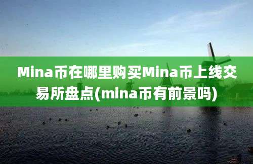 Mina币在哪里购买Mina币上线交易所盘点(mina币有前景吗)