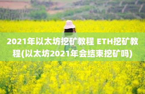 2021年以太坊挖矿教程 ETH挖矿教程(以太坊2021年会结束挖矿吗)