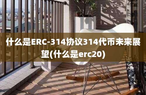 什么是ERC-314协议314代币未来展望(什么是erc20)