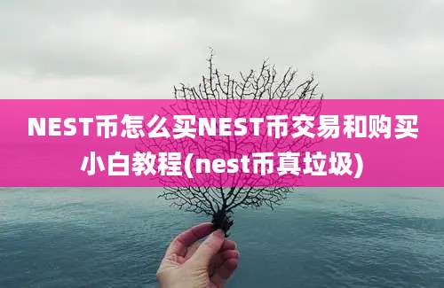 NEST币怎么买NEST币交易和购买小白教程(nest币真垃圾)