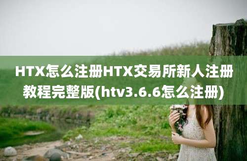 HTX怎么注册HTX交易所新人注册教程完整版(htv3.6.6怎么注册)