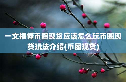 一文搞懂币圈现货应该怎么玩币圈现货玩法介绍(币圈现货)