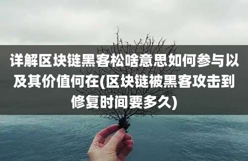 详解区块链黑客松啥意思如何参与以及其价值何在(区块链被黑客攻击到修复时间要多久)